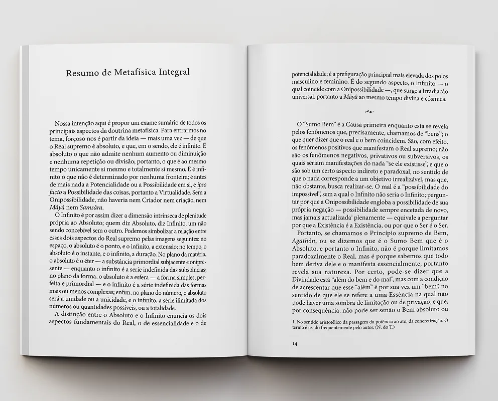 Resumo da Metafísica Integral - Imagem 2